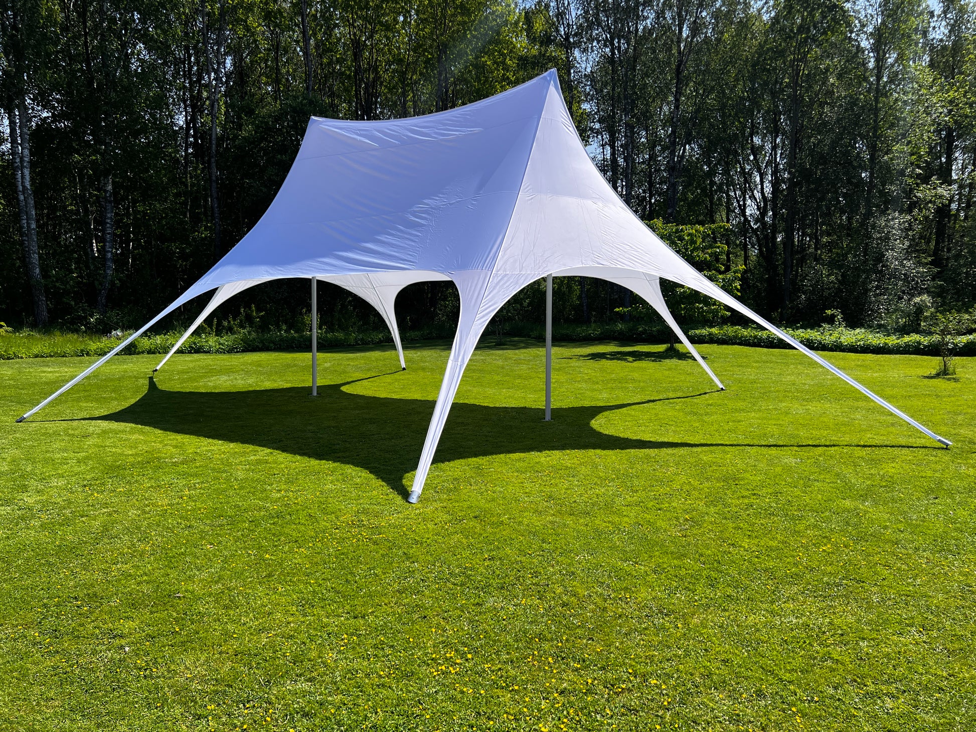 Stjernetelt fra Gaulin Utleie